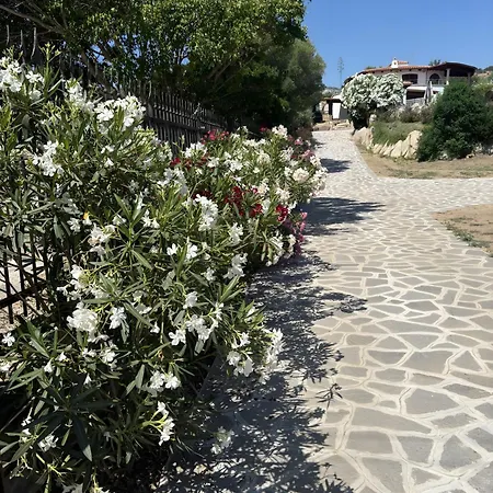 Panorama Сан-Теодоро